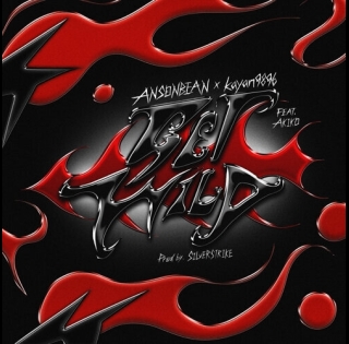 ansonbean-kayan9896-get-wild-feat-akiko-500x500