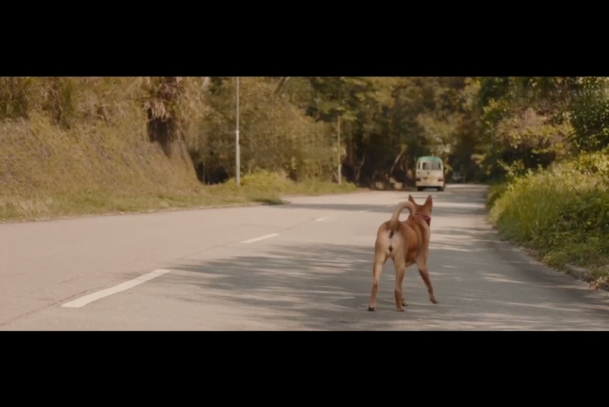 ma-news-10dec2024-23