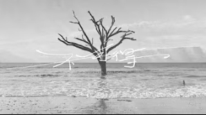 Stephy-鄧麗欣-不可得-mv