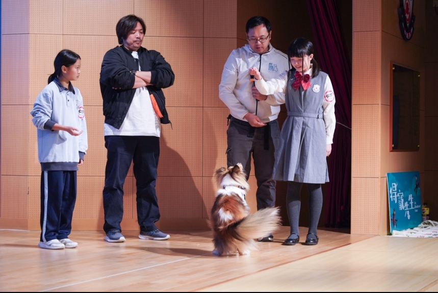 ma-news-15dec2024-23