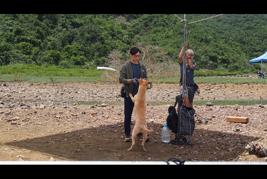 ma-news-23dec2024-14