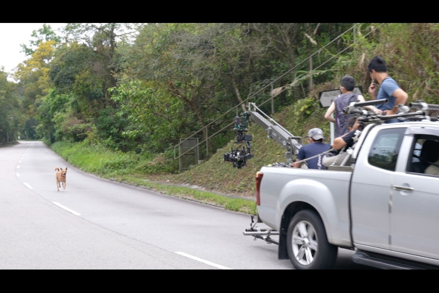 ma-news-10dec2024-33