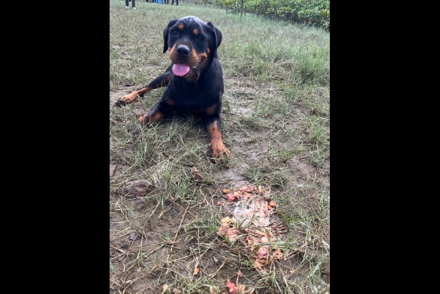 ma-news-23dec2024-25