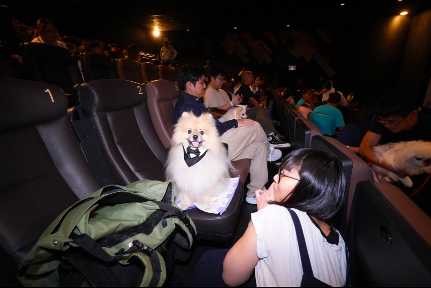 ma-news-10nov2024-46