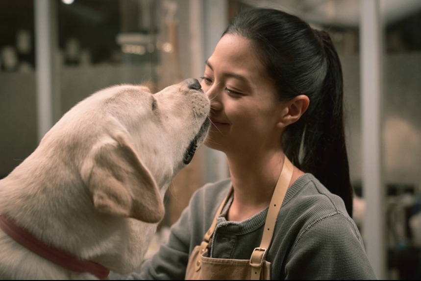 ma-news-23dec2024-13